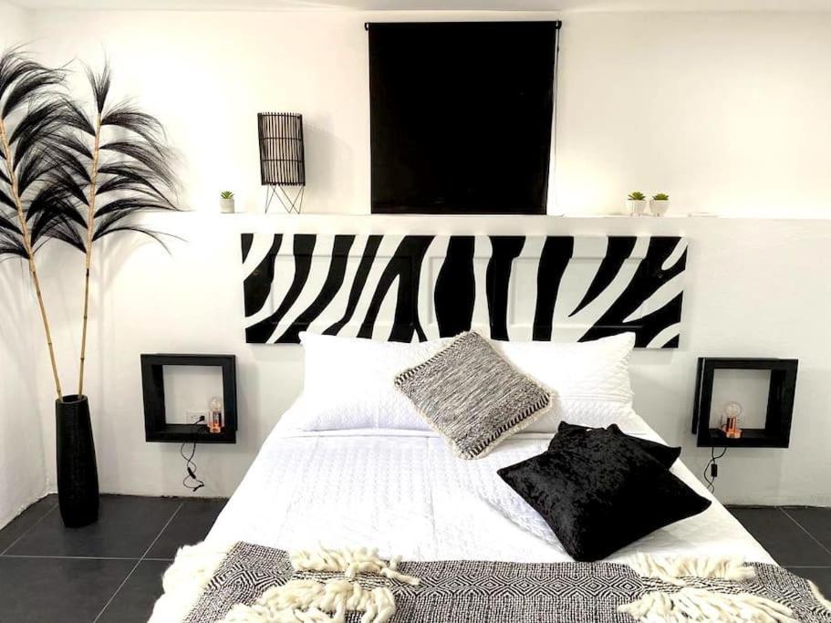 Paradiso Apartments - 1 Bdr Οράνχεσταντ Εξωτερικό φωτογραφία